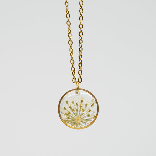 Halskette Wilde Möhre Transparent | rund