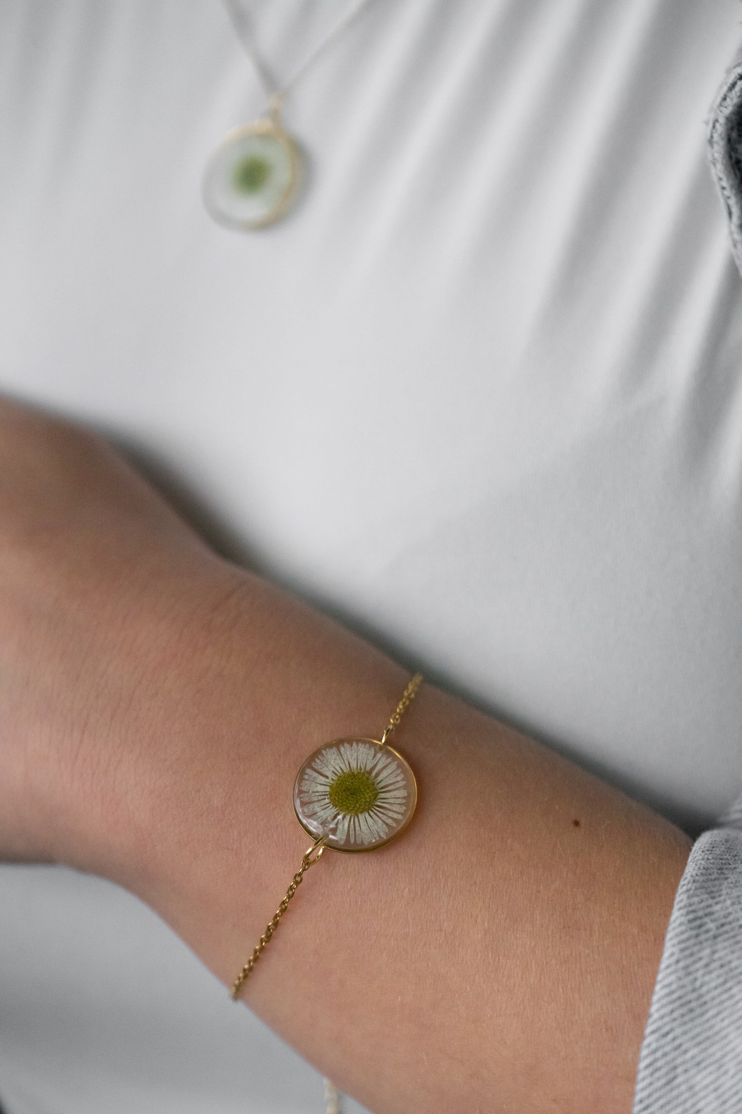 Armkette mit echtem Gänseblümchen | transparent