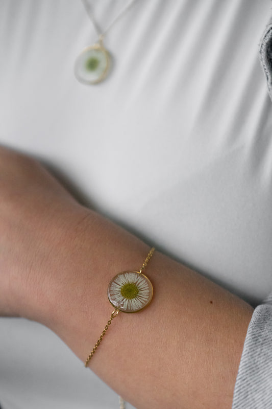 Armkette mit echtem Gänseblümchen | transparent
