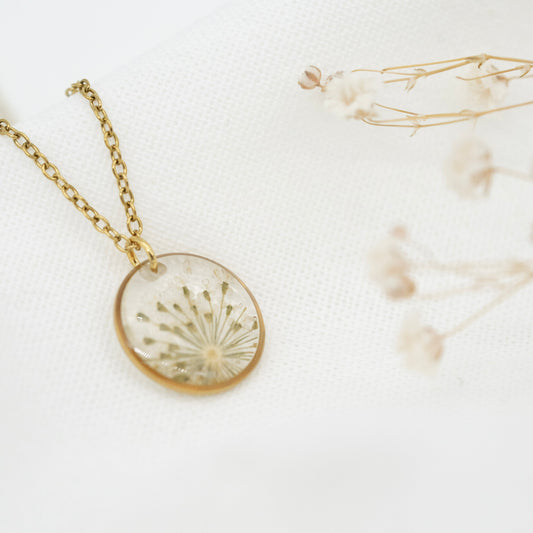 Halskette Wilde Möhre Transparent | rund