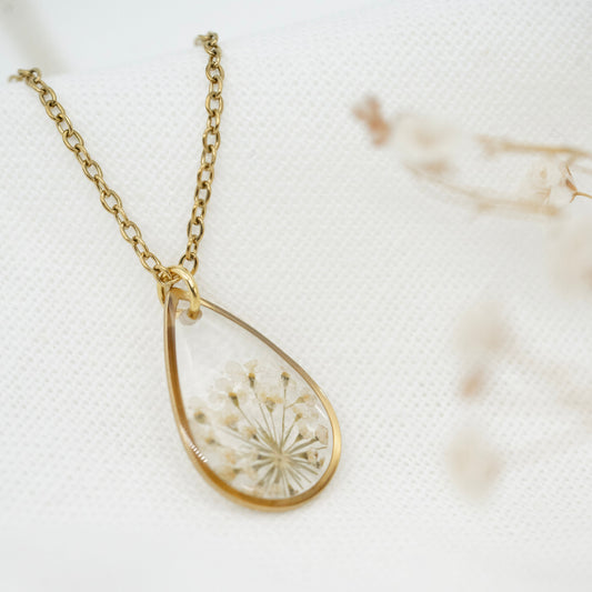 Halskette Wilde Möhre Transparent |Tropfen